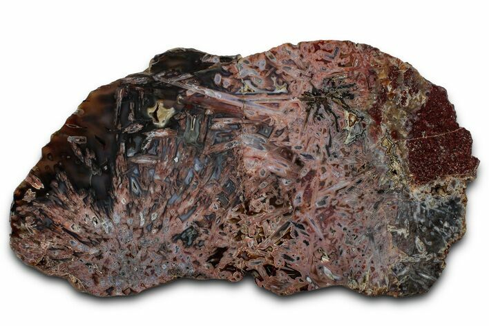 Polished Turkish Stick Agate Slab - Turkey #355273